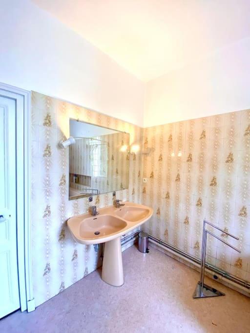 Demeure St Martin Villa Виерзон Екстериор снимка
