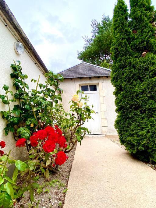 Demeure St Martin Villa Виерзон Екстериор снимка